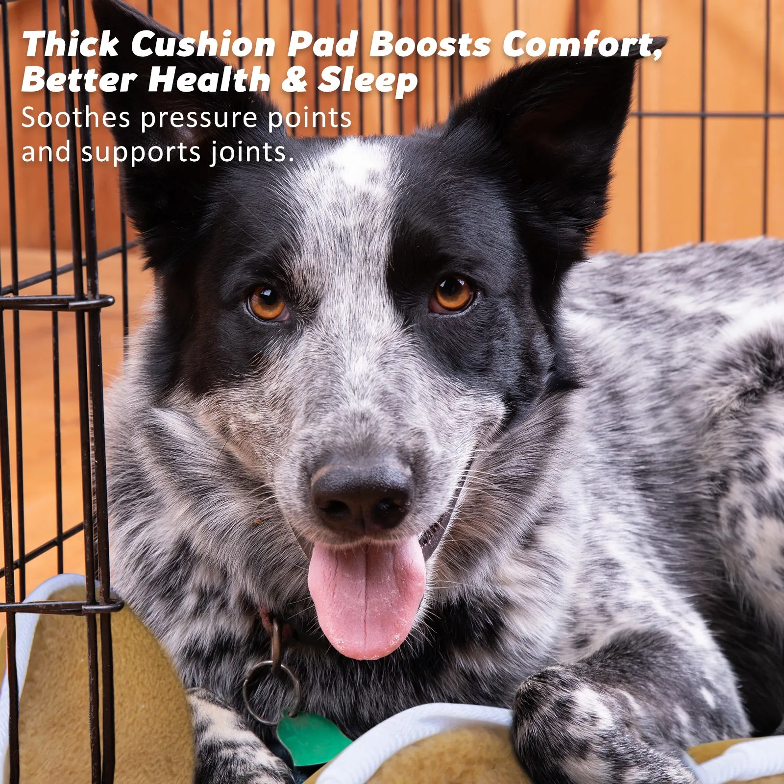 30in Foldable Wire Dog Crate with Tray & Cushion Mat - Paw Mate